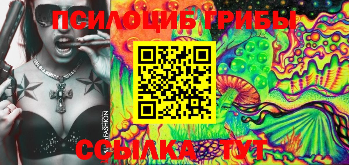 Псилоцибиновые грибы Psilocybe Алексин